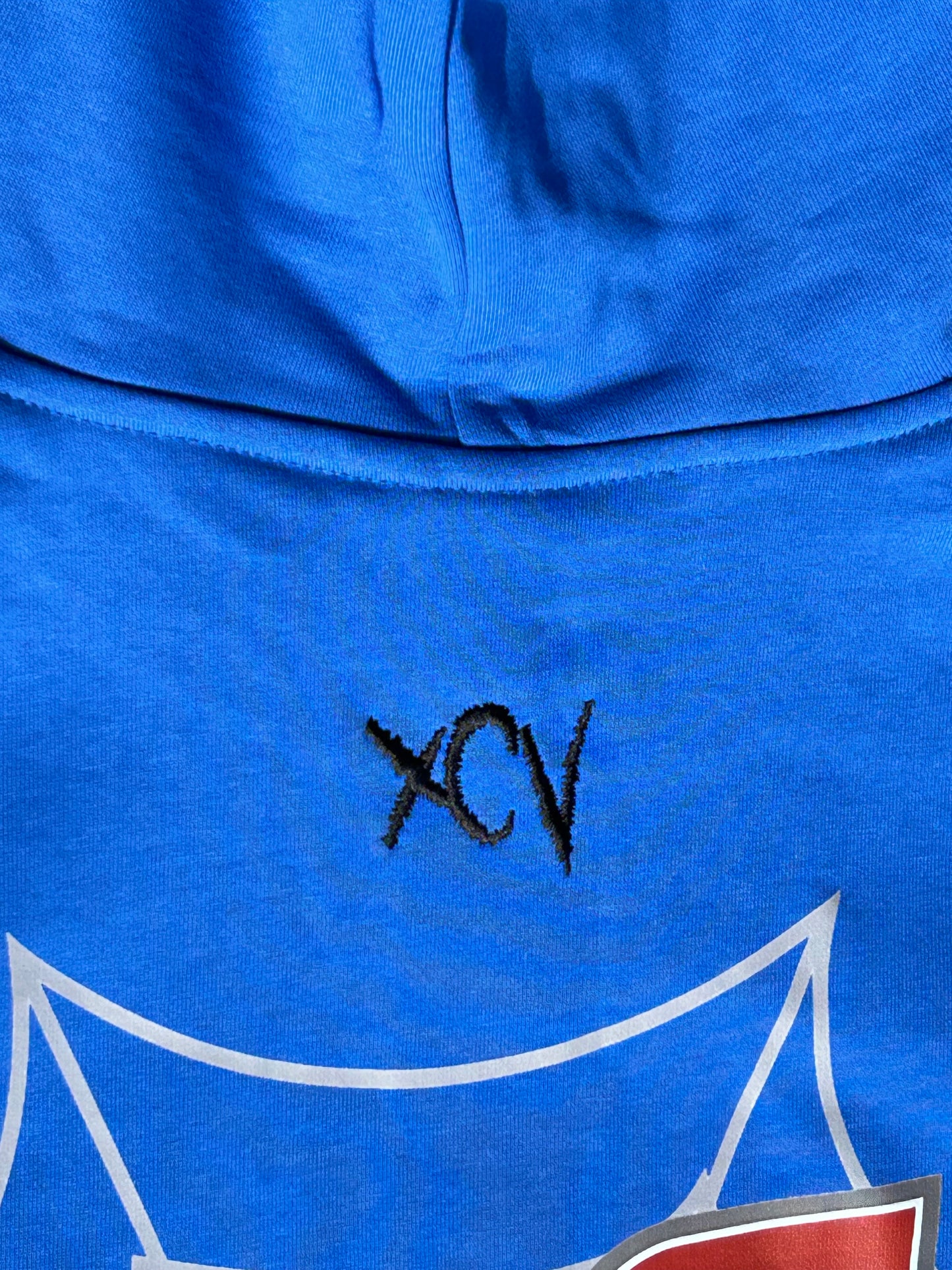 WT81 Hoodie