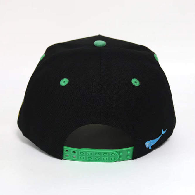 New London, CT Snapback