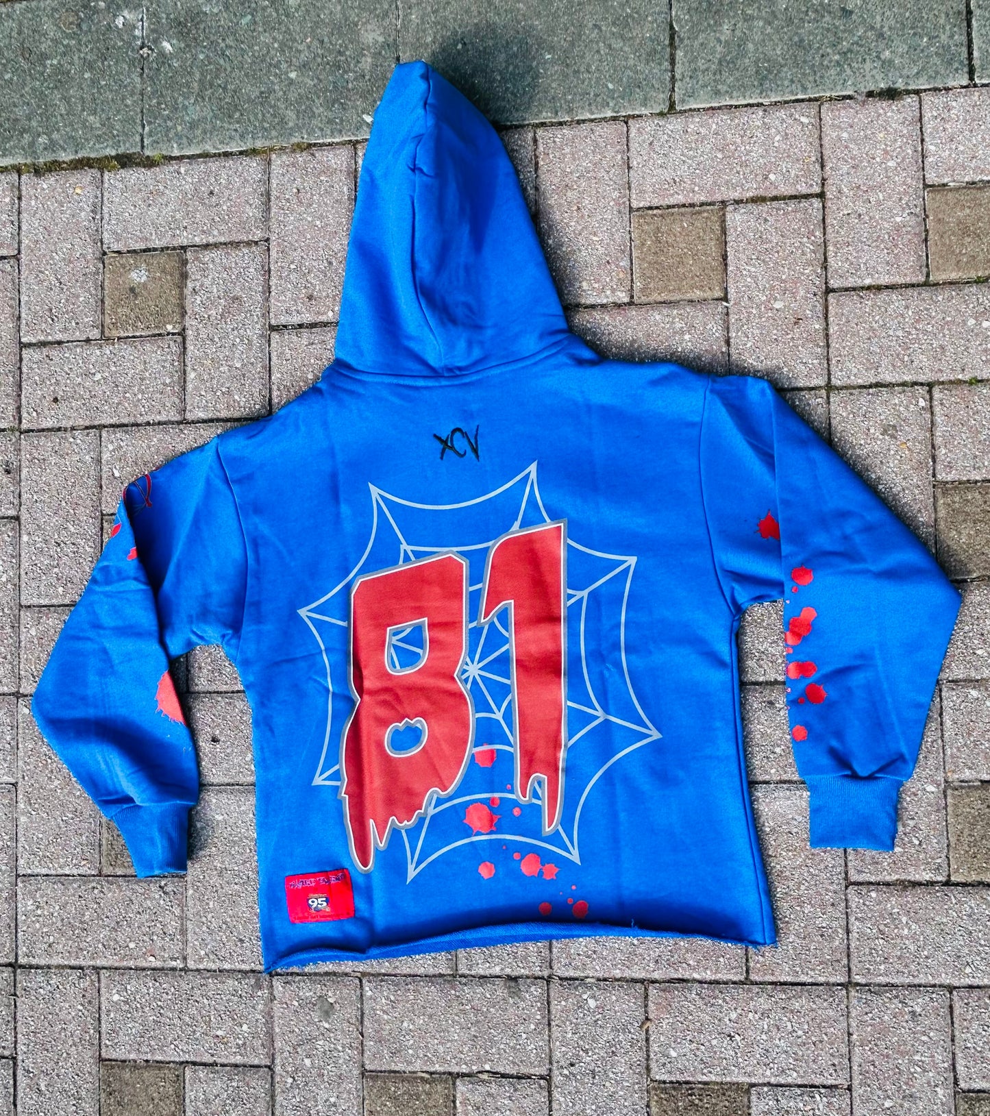 WT81 Hoodie