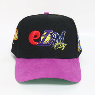 Elm City SnapBack (New Haven , CT)
