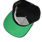 Elm City SnapBack (New Haven , CT)